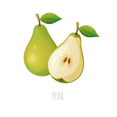 A vector illustration of a green pear with a leaf and slice on white background for summer design