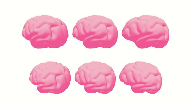 Human brain Anatomical Model. Motion Animation. Video available in 4K FullHD and HD render footage