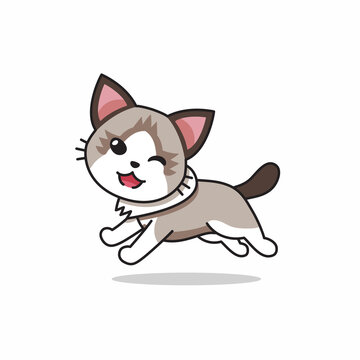 Vector cartoon character ragdoll cat running for design.