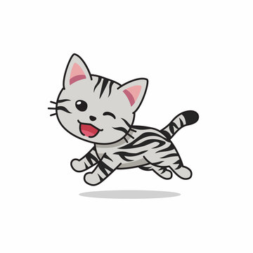 Vector cartoon character american shorthair cat running for design.