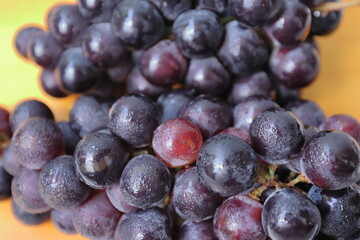 Clusters of ripe purple grapes in wooden background. 