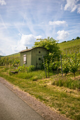 Fototapeta na wymiar A tiny house on vineyards in Traben Trarbach (Germany)