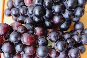 Clusters of ripe purple grapes in wooden background