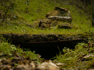 Hole in the grass, green, rocks