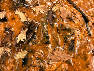 Leaves and branches in the mud, material