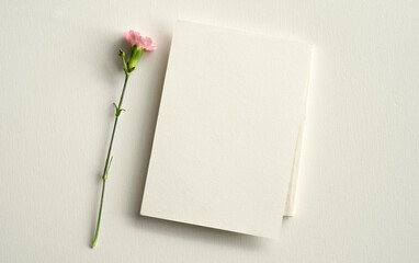 blank white invitation template, rectangle, art canvas texture, soft shadows, flowers for decoration, white background, canvas texture, photo taken from above