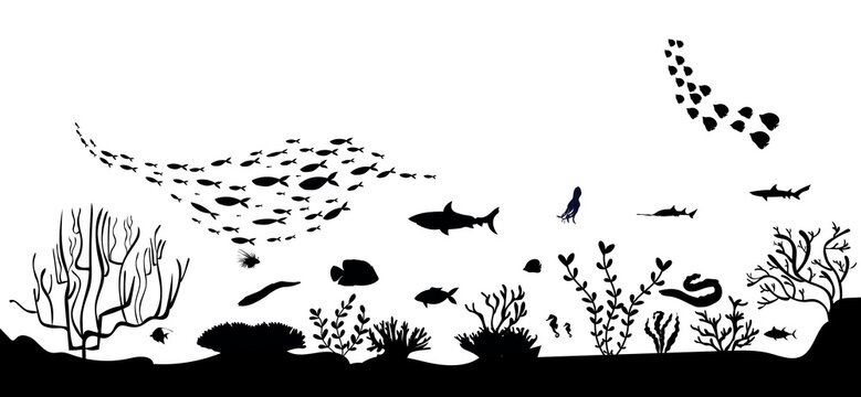 silhouette of coral reef with fish  on white  sea background underwater vector illustration