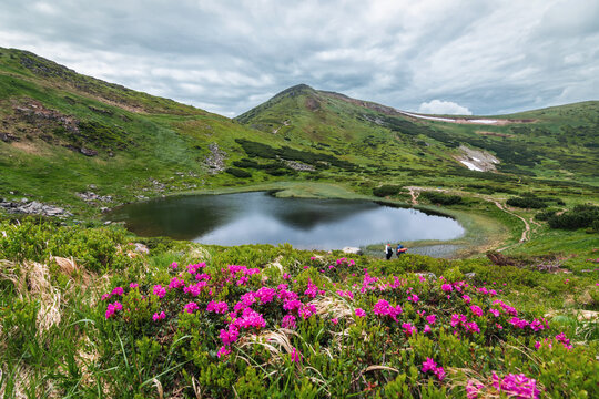 Mount Hoverla" Images – Browse 304 Stock Photos, Vectors, and Video | Adobe  Stock