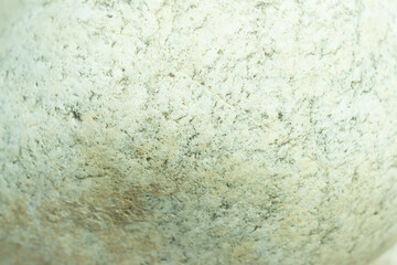 Garden center. Gardening, shop. Landscape design. Stones.