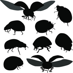 Vector ladybug icons on isolated white © Aleksandr