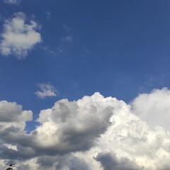 Naklejka na ściany i meble blue sky with cumulus clouds 