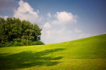 Beautiful summer landscape, blue hill with tree with shadow and blue sky with clouds
