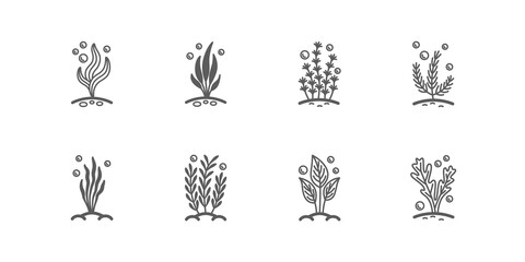 Fototapeta na wymiar Set of vector linear icons with aquarium algaes with bubbles. Isolated black pictogram collection with water plants on a white background. Outline signs for web
