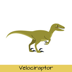 Velociraptor dinosaur vector illustration isolated on white background.