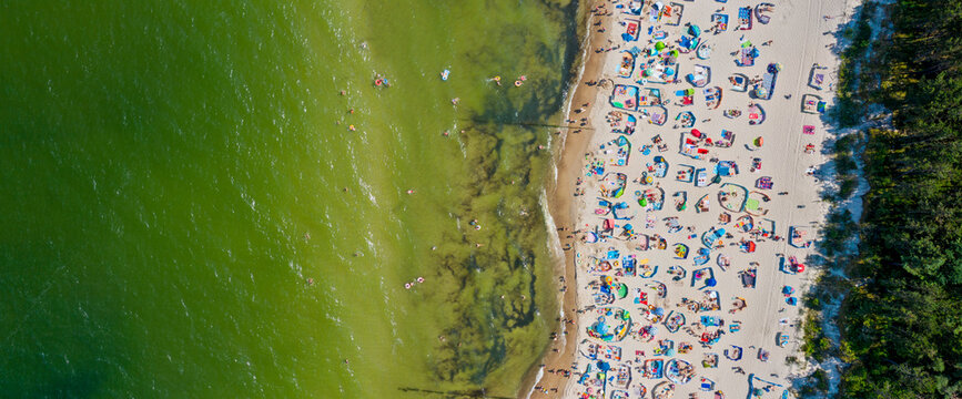 Widok z g&oacute;ry na plażowicz&oacute;w nad Morzem Bałtyckim