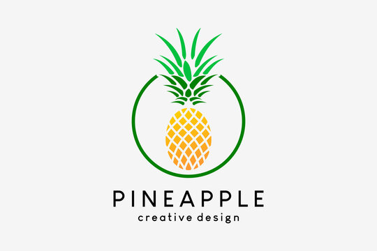 Pineapple logo design, pineapple icon with creative concept in circle