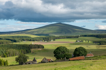 Tap o' Noth viewed from the Cabrach.