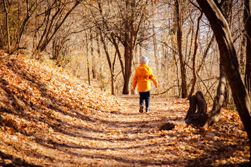 Child in a bright orange jacket in the autumn forest, park. Rest at nature