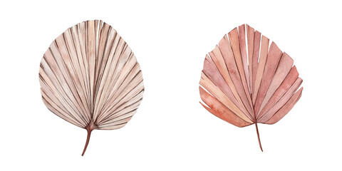 Hand Drawn Watercolor Boho Tropical Palm Leaves Illustration isolated on white background. Vintage Jungle Cliparts. Watercolour Dusty Beige Palm Leaf perfect for wedding designs, invitations, greeting