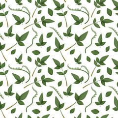 Seamless pattern of green leaves, natural foliage, green leaves, herbs, hand drawn. Rustic eco friendly background on white
