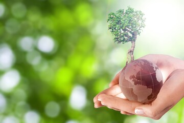 hand holding glass globe with planting trees and green nature ecological concept