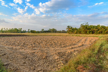 Soil preparation for crop production concept : Land preparation, plowing to till or dig-up, mix and overturn the soil, harrowing to break the soil clods into smaller mass and incorporate plant residue