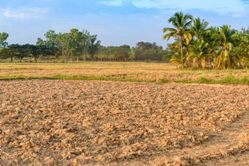 Soil preparation for crop production concept : Land preparation, plowing to till or dig-up, mix and...