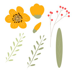 Set of hand drawing beautiful bouquets. Floral elements for your design: flowers, berries, branches, leaves.