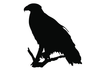 Eagle Silhouette Vector