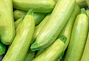 Fresh green zucchini on the counter in the store. Close-up of a showcase of young zucchini on the market