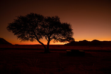 Fototapeta na wymiar sunset behind a trees in Africa