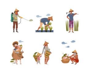 Asian farmers planting harvesting rice, lotus flowers and picking up tea leaves set vector illustration