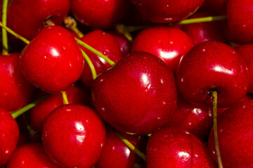 a lot of red cherries
