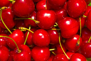 a lot of red cherries