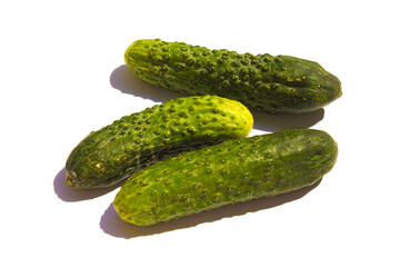 three green cucumbers lie on a white background