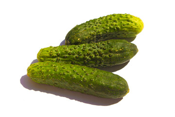 three green cucumbers lie on a white background