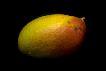a green mango lies on a black background