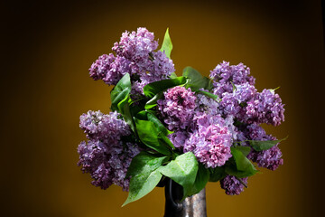 Still life with a luxurious bouquet. Bouquet of purple lilac flowers. Spring flowers poster, greeting card. Bunch of lilac flowers