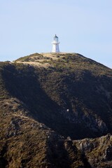 Küstenlandschaft in Neuseeland