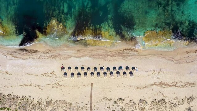 Umbrellas lined up on the sandy beach by the turquoise sea. Top view of a transparent blue sea with beautiful waves on the beach. Summer vibes concept. Exotic beach from above