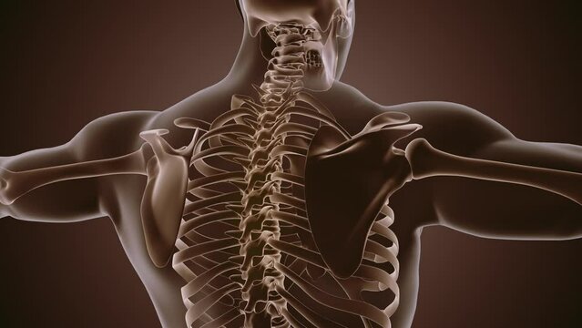 Painful back close up animation background