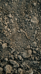 Soil from the garden as a background texture