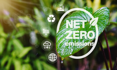concept of carbon neutral and net zero emissions. natural environment A climate-neutral long-term...
