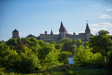 Obraz premium castle in the evening