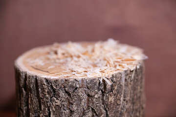 Selective focus. Poplar tree stump with sawdust on the top with a red-brown monotonous background