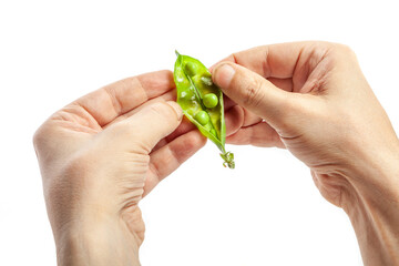 Spoiled green pea pod....