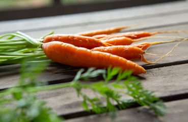 Macro photo of fresh young carrots on a wooden table with green leaves. Healthy and healthy organic food