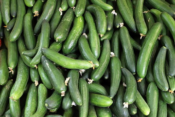 Fresh vegetables are sold at a bazaar in Israel