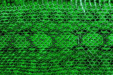 Natural snake skin pattern background. Green snake pattern imitation.