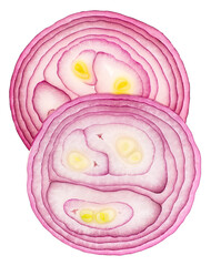 Fototapeta premium Fresh violet onion rings isolated on a white background, top view.